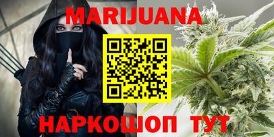 a pvp Кингисепп