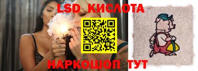a pvp Кингисепп