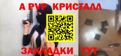a pvp Кингисепп