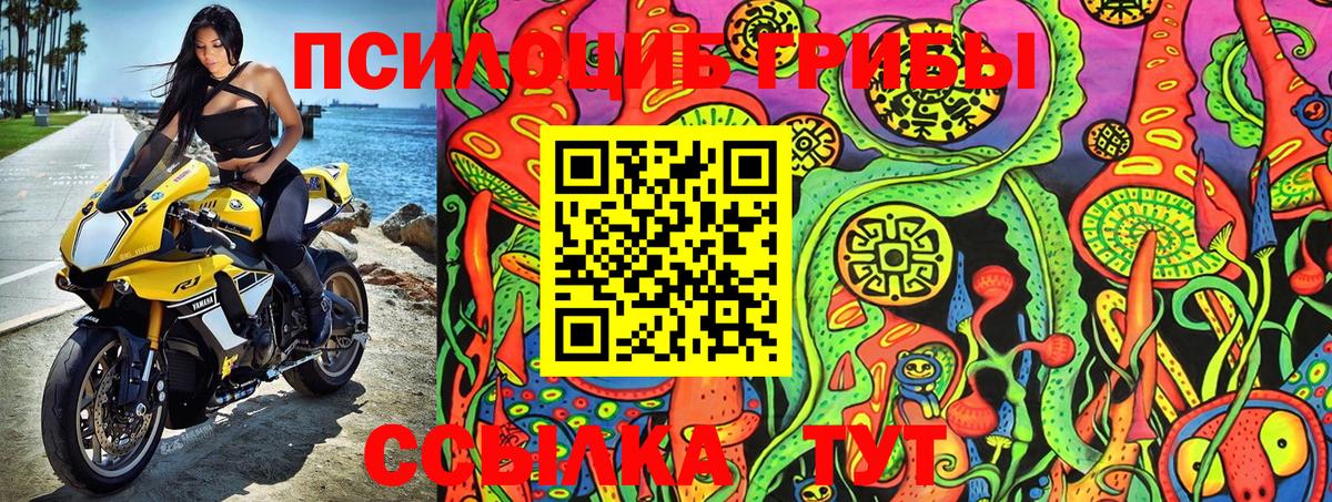 Касимов  Псилоцибиновые грибы Psilocybe  Вход с VPN 